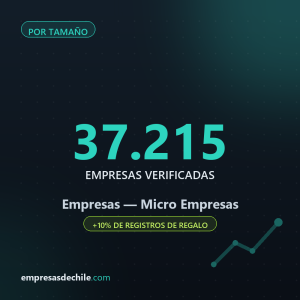 Micro Empresas — 37.215 empresas verificadas
